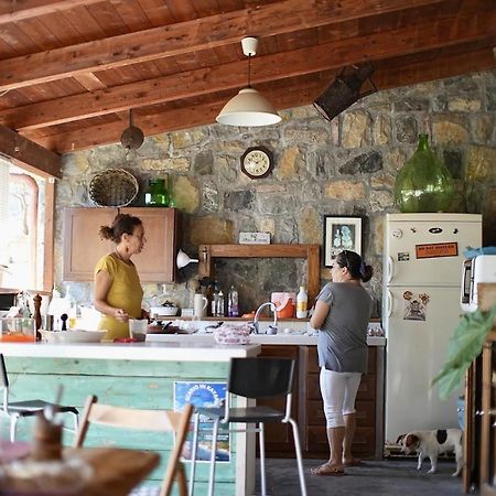 B&B Casa Dei Nonni Scario Kültér fotó